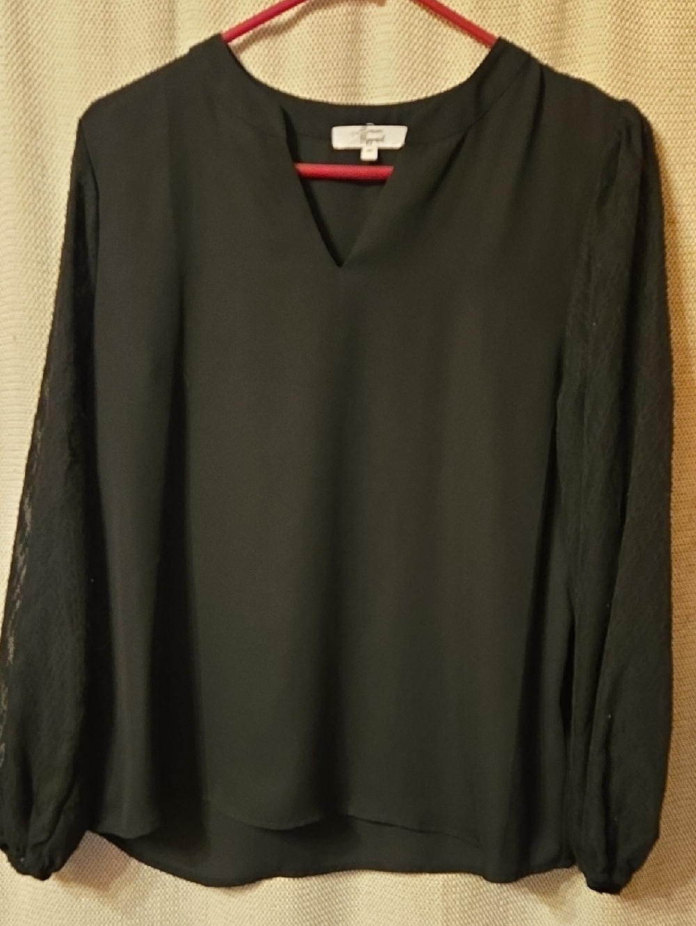 Black V-Notch Long-Sleeve Blouse